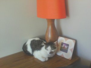 217345_218242814855762_100000101359193_1046427_6230451_n