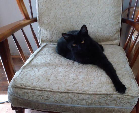 11016818_1062987607047941_1836999261843545781_n